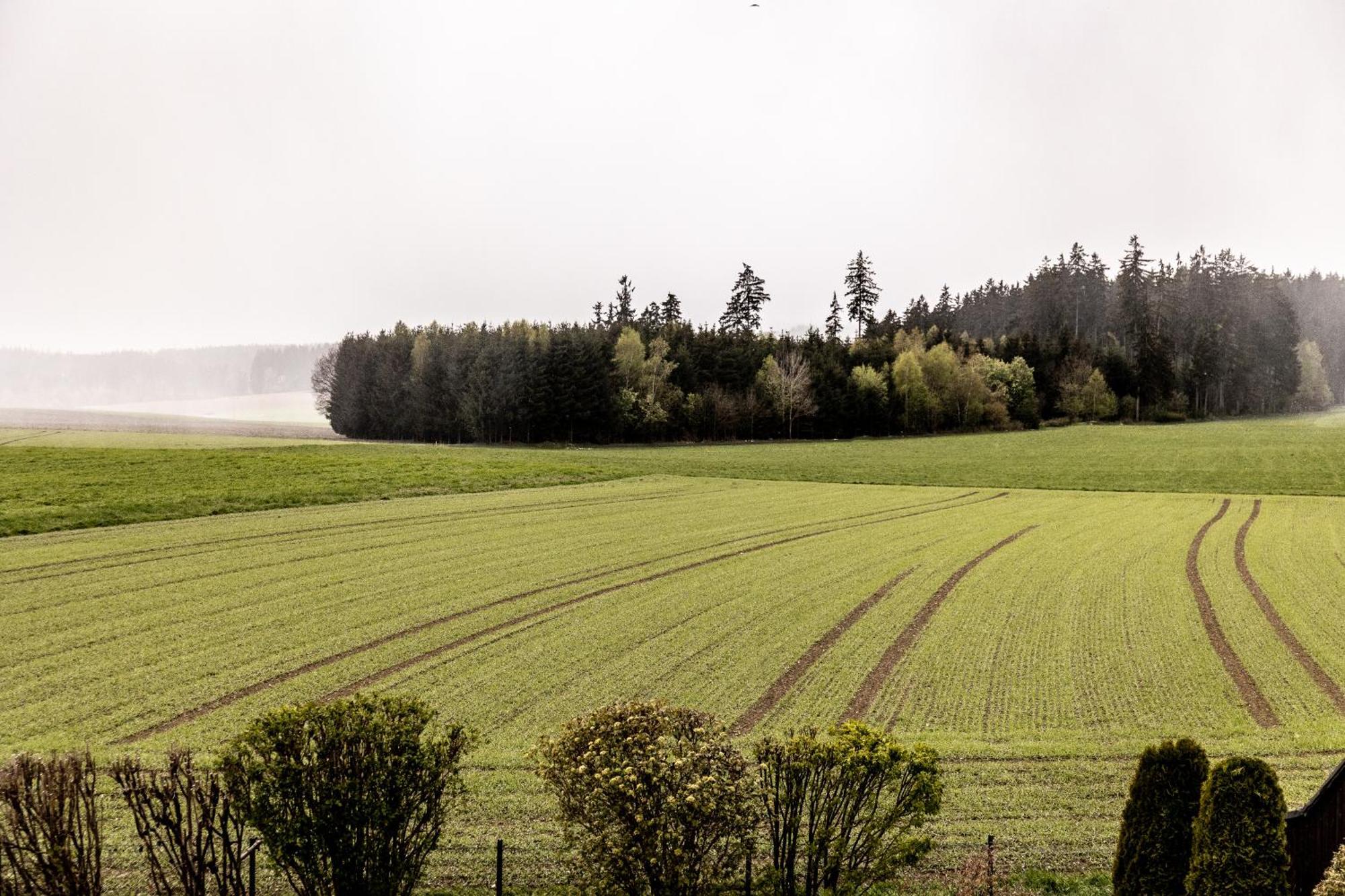 Ferienwohnung Fichtelblick Schonwald  Buitenkant foto